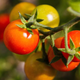 Generic image
Thinkstock